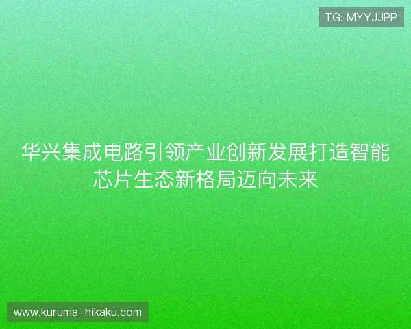 华兴集成电路引领产业创新发展打造智能芯片生态新格局迈向未来